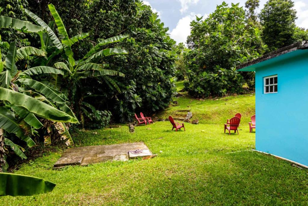 Κήπος έξω από το Rainforest Retreat 15 min from the beach