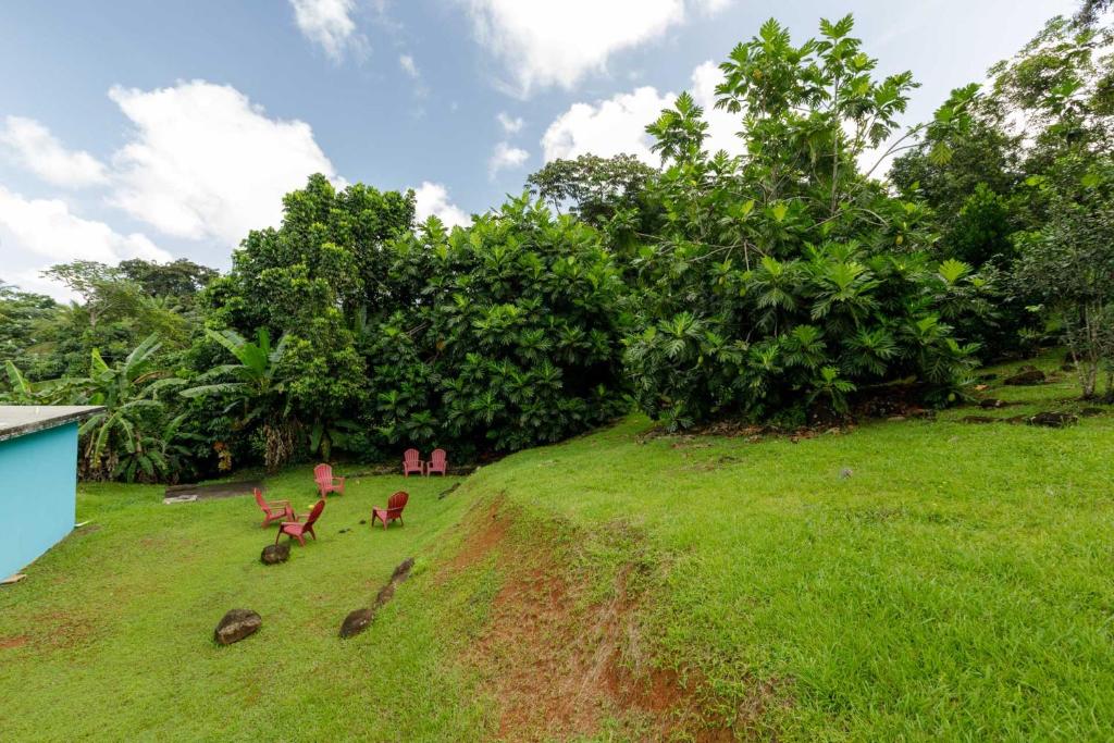 Κήπος έξω από το Rainforest Retreat 15 min from the beach