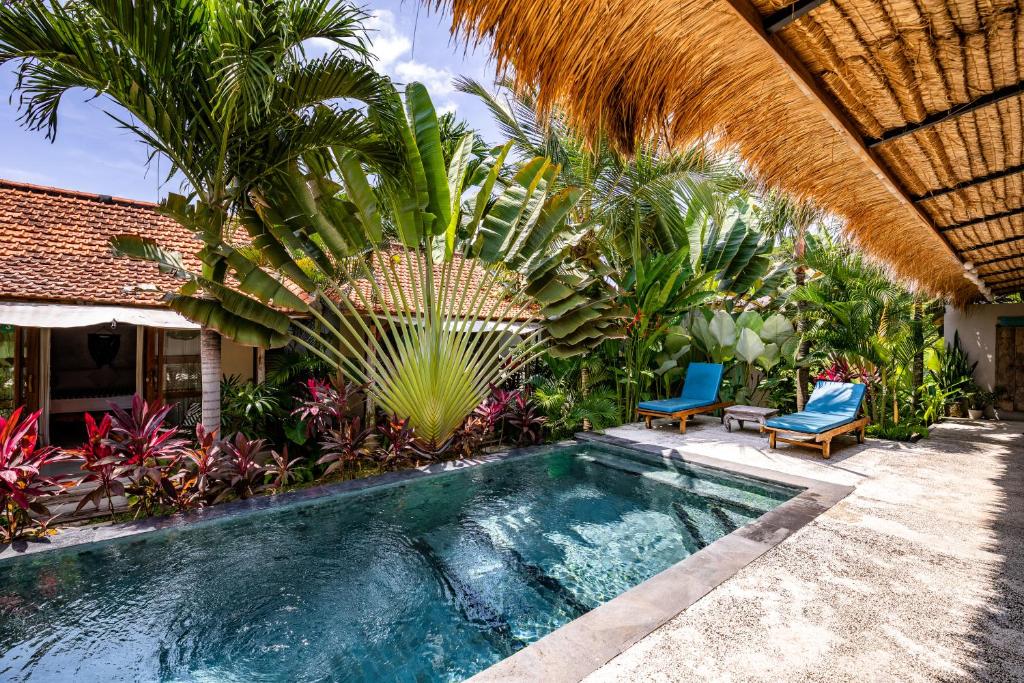 Πισίνα στο ή κοντά στο Seaside Tribe - Boutique Surf Stay & Retreat
