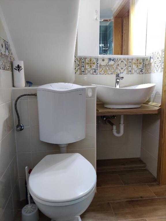 Koupelna v ubytování Bertalan Apartman