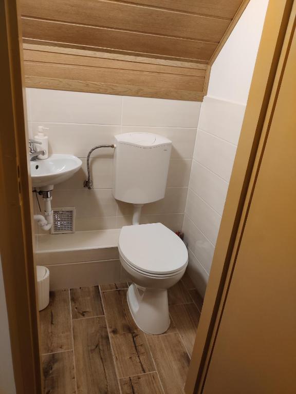 Koupelna v ubytování Bertalan Apartman