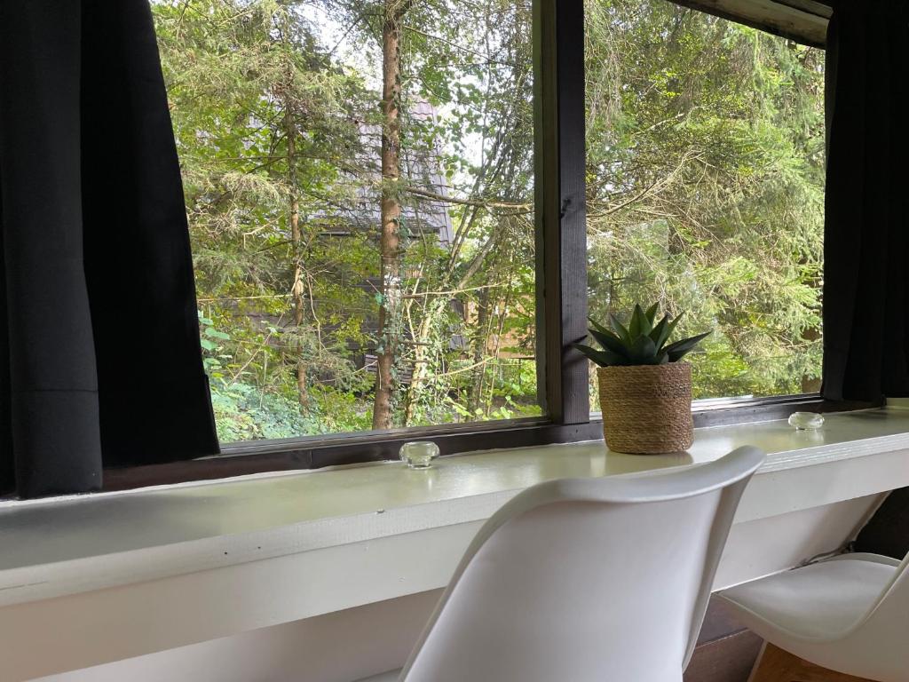 Zahrada ubytování Sunclass Durbuy huisje 205