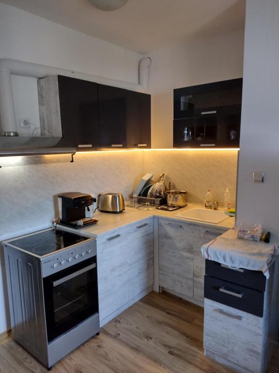 Il comprend une cuisine équipée d'une cuisinière et d'un évier. dans l'établissement Apartment BanskoIN, à Bansko