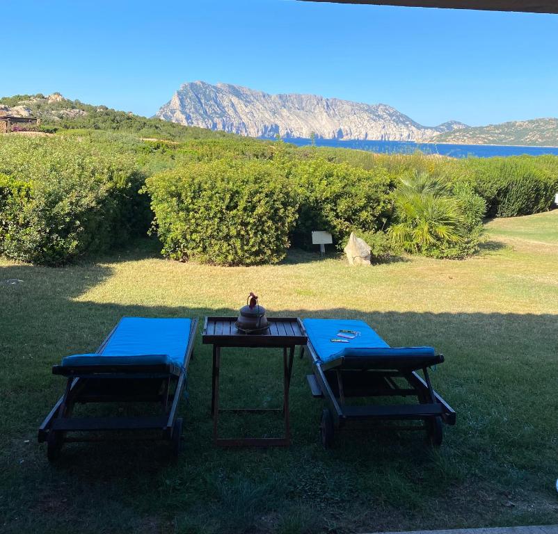 - une table de pique-nique et deux chaises dans l'herbe dans l'établissement villino D5 coda cavallo villaggio cala paradiso, à San Teodoro