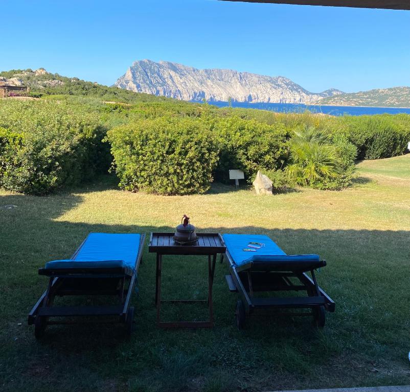 een picknicktafel en twee stoelen in het gras bij villino D5 coda cavallo villaggio cala paradiso in San Teodoro