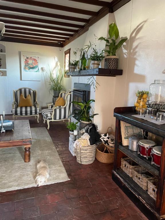 a living room with a dog laying on the floor at The Table Guest House in Greta