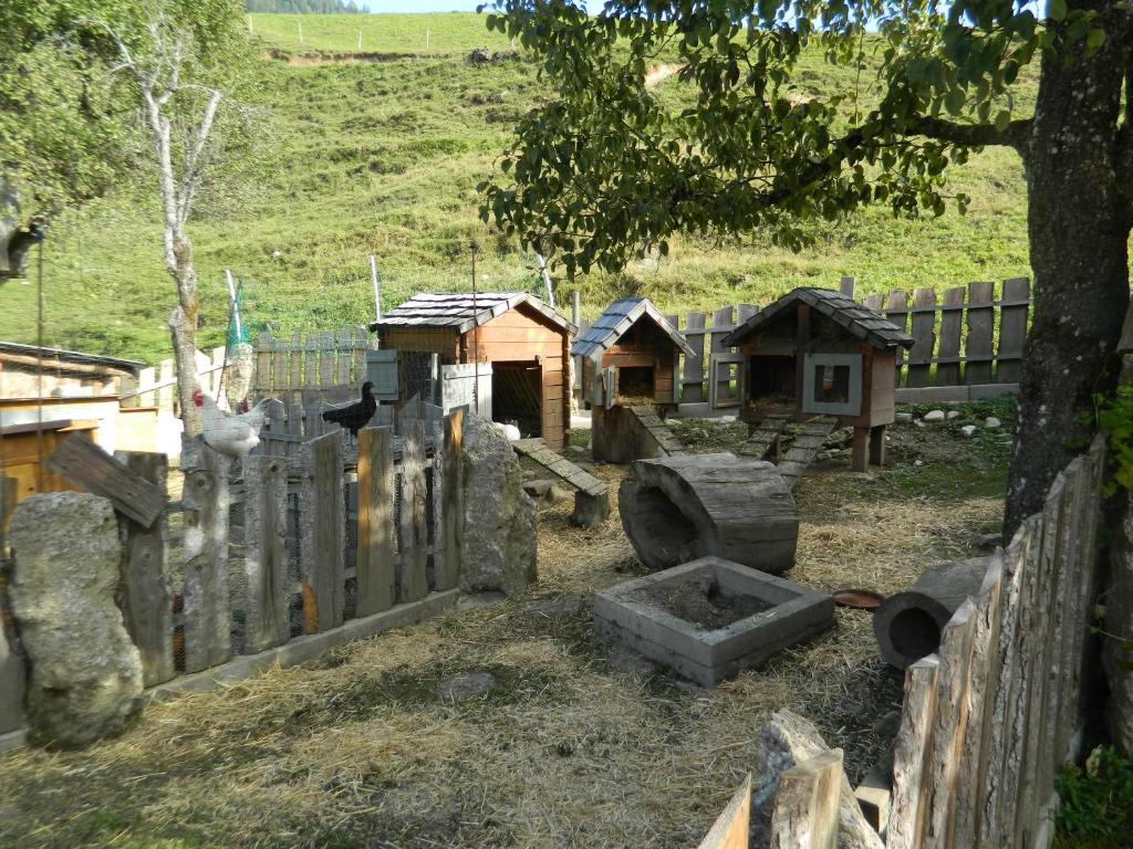 Příroda nedaleko apartmánu