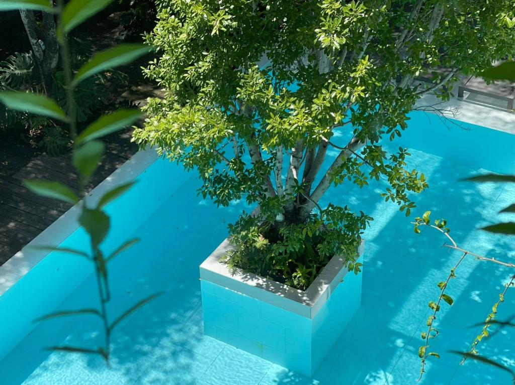 POR Daowadung - Resim 19