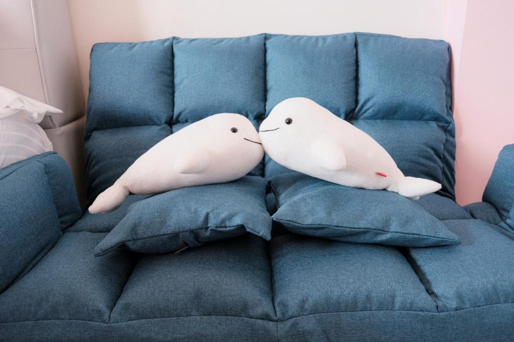 Posezení v ubytování Baby Dolphin