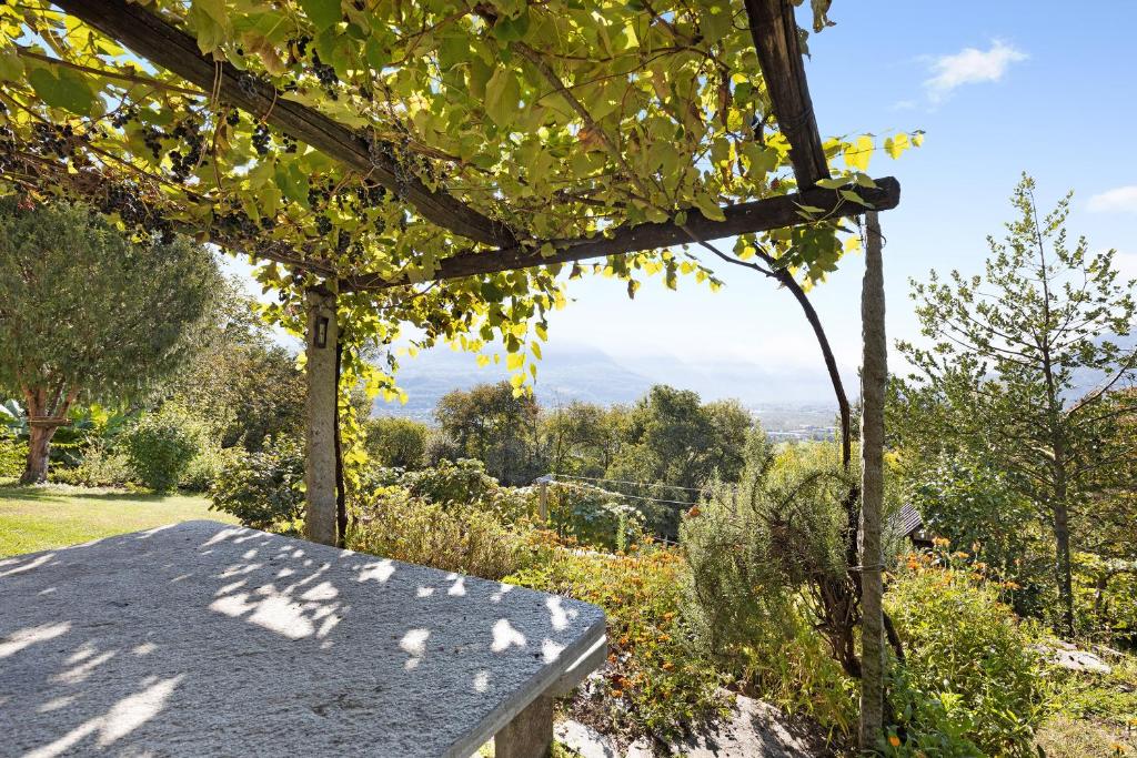 a picnic table in a garden with a view at Al Pinone in Crevoladossola