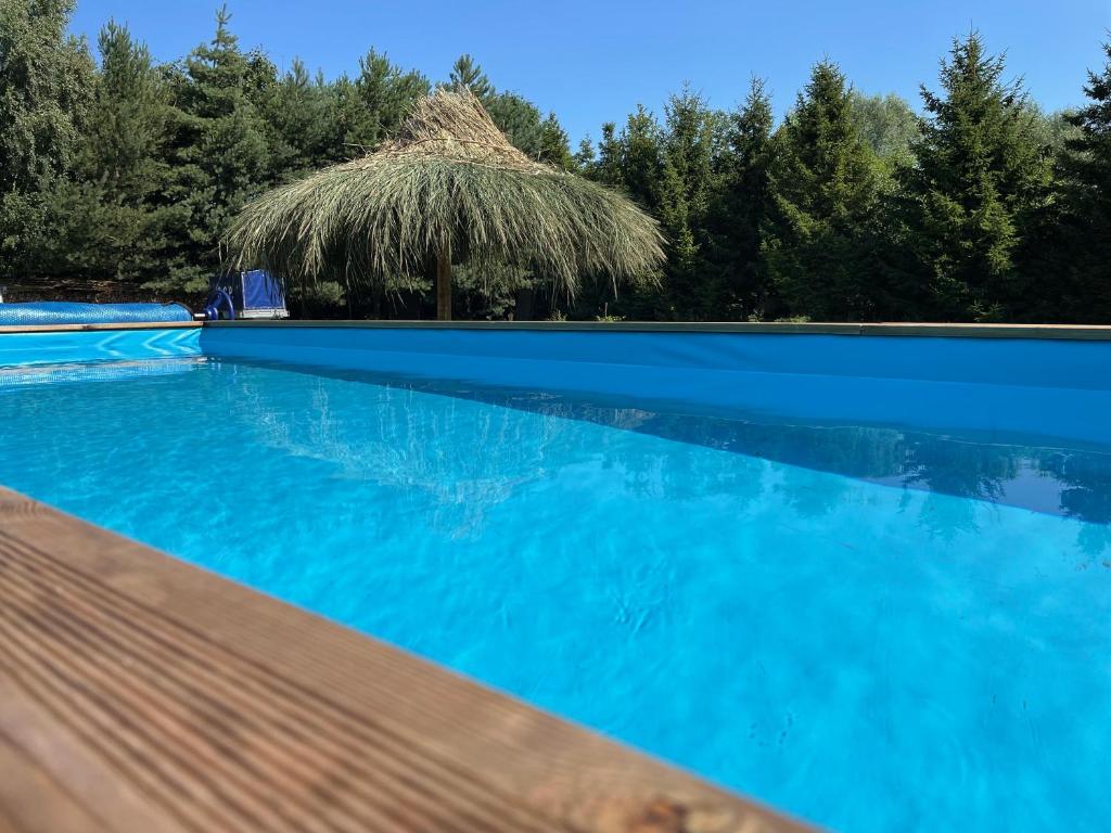 a blue swimming pool with a thatch roof at Rybakówka Nad Jeziorem Wicko in Jezierzany