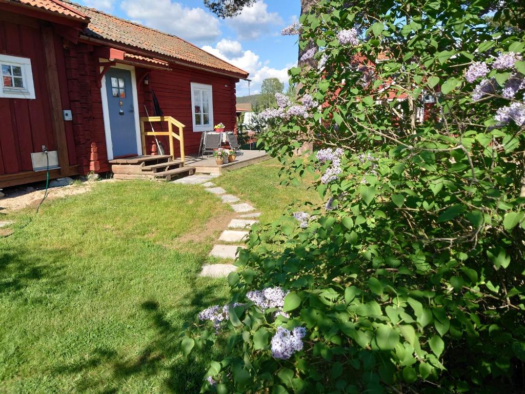a house with a blue door and a bush with purple flowers at Soldattorpet Sands in Leksand