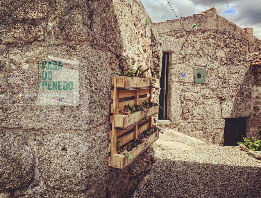 una pared de piedra con un estante con plantas. en CASA DO PENEDO - Um Segredo na Serra da Estrela, en Quintãs de Baixo
