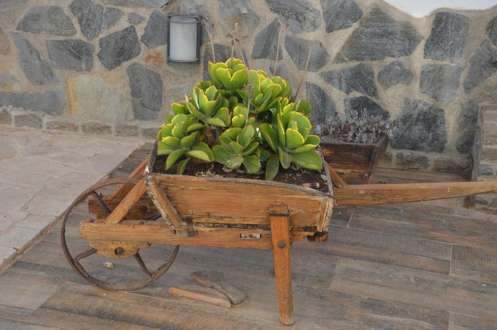 Fotografia z galérie ubytovania Gran Cortijo Viejo Reformado - Cortijo Diego Garcia v destinácii Sorbas