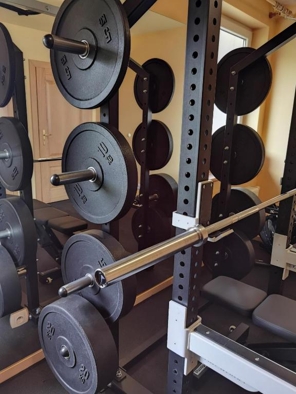 Posilňovňa alebo fitness centrum v ubytovaní Hotelik Dworek Legnickie Pole 4km od Legnicy