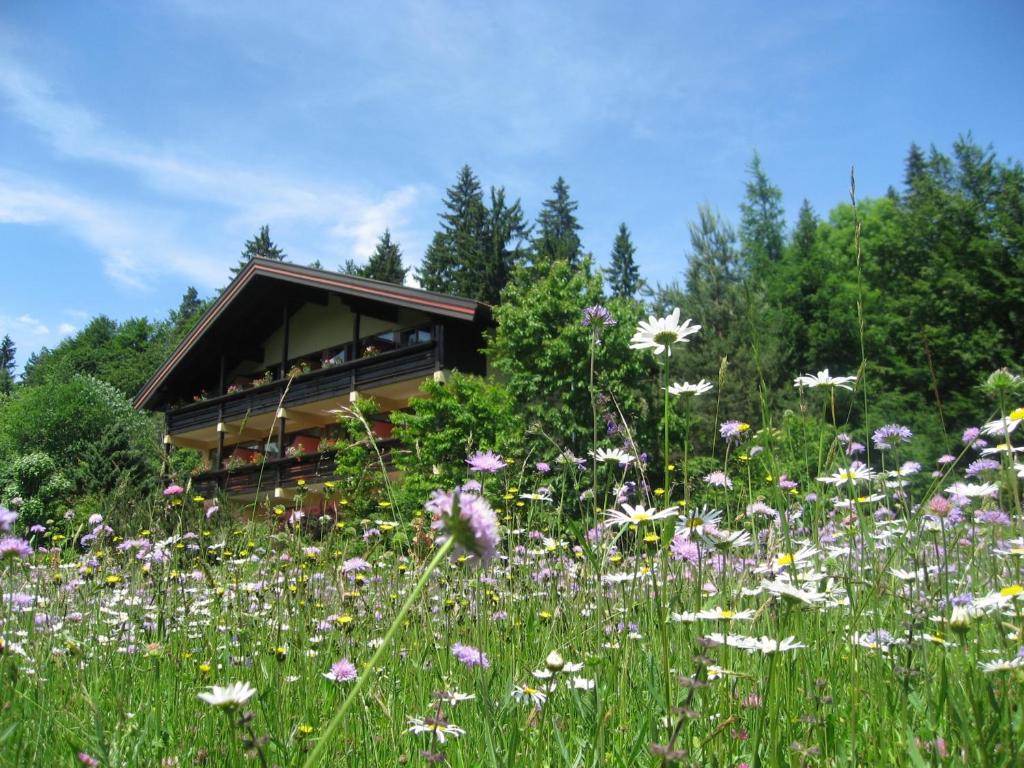 Zahrada ubytování Landhaus Schreier