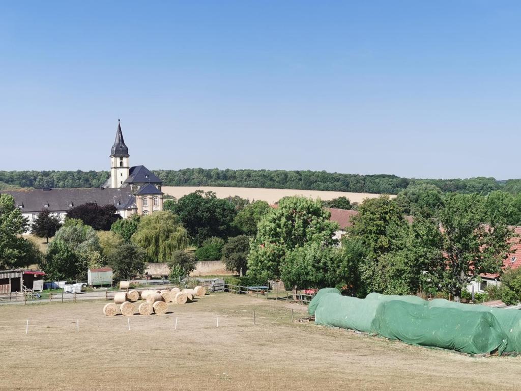 Ferienwohnung Alpakahof Goslar