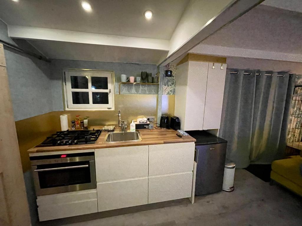 Kuchyň nebo kuchyňský kout v ubytování Tiny House de Eikhof