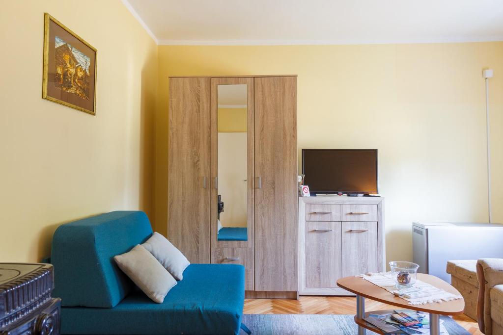 Televiisor ja/või meelelahutuskeskus majutusasutuses Apartman Bogojevic