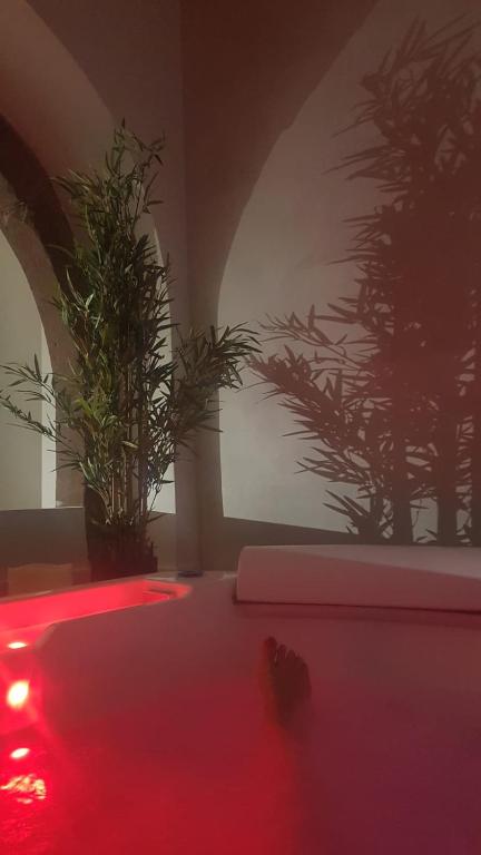 Jacuzzi des Tanneurs – photo 21