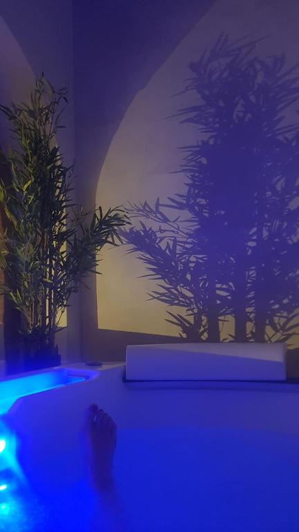 Jacuzzi des Tanneurs – photo 20
