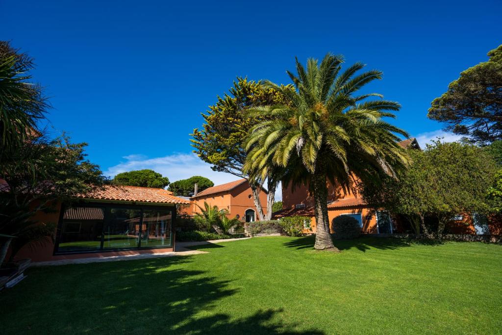 a palm tree in a yard next to a house at Quinta da Bicuda in Cascais