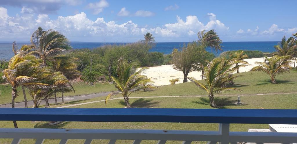 une vue sur une plage avec des palmiers et l'océan dans l'établissement Studio Nikita Manganao, Appartement Standing Vue mer, à Saint-François