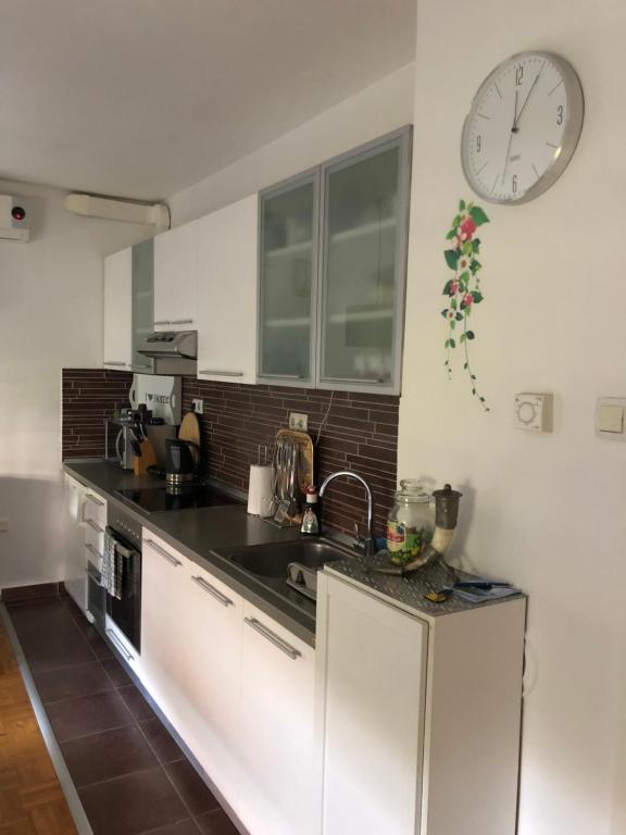 Kuchyňa alebo kuchynka v ubytovaní Apartment Sweet Dreams-close to ZOO,Dinamo stadium and the city center