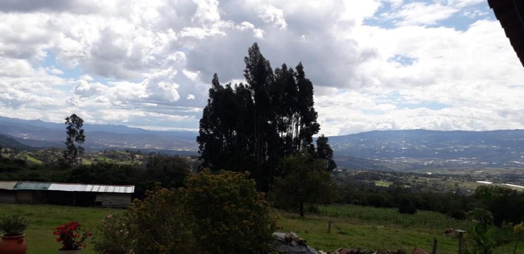 a view of a field with trees and mountains at Cabaña El Mirador M&G in La Capilla