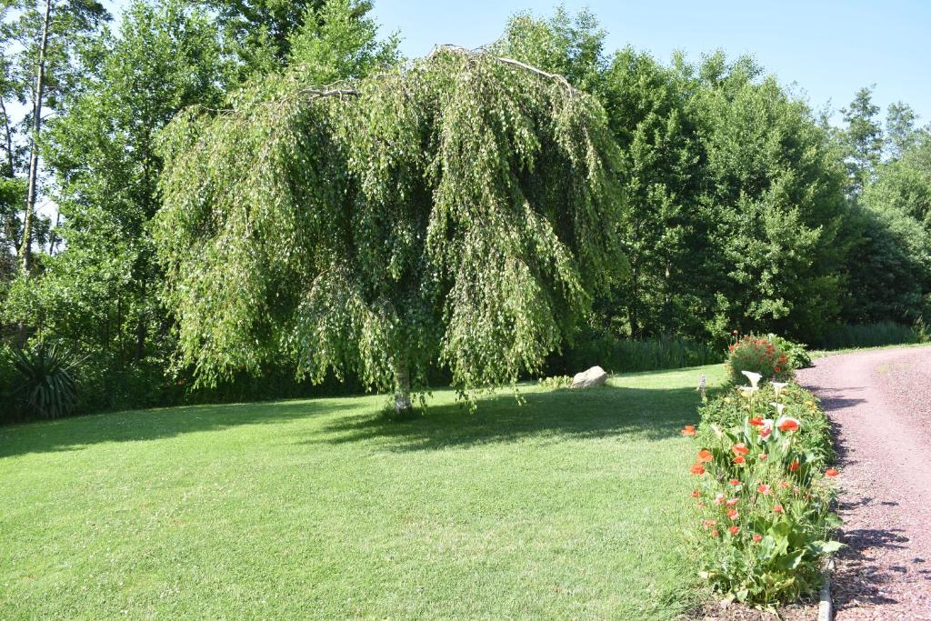 Zahrada ubytování Le Vrai Paradis