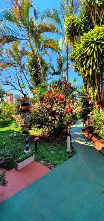 a garden with palm trees and a walk way at Hospedaje Jose Gorgues in Puerto Iguazú