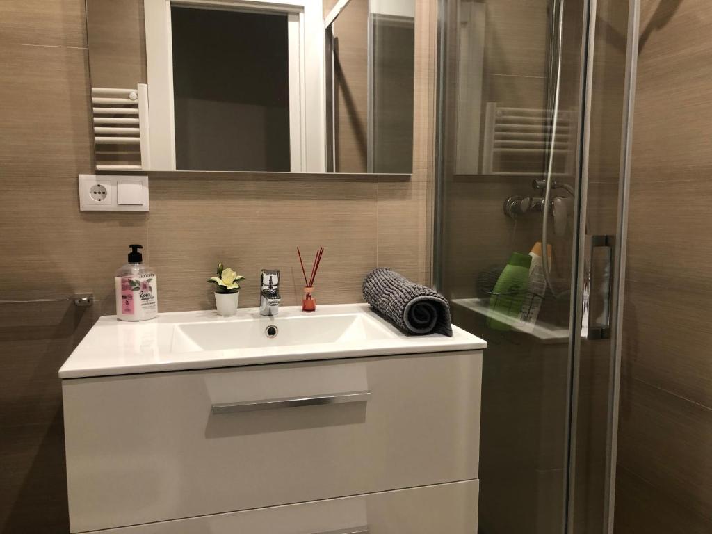 Alojamientos Castellana Jardín 1 y 2 PARKING Y PISCINA GRATIS!! - 10