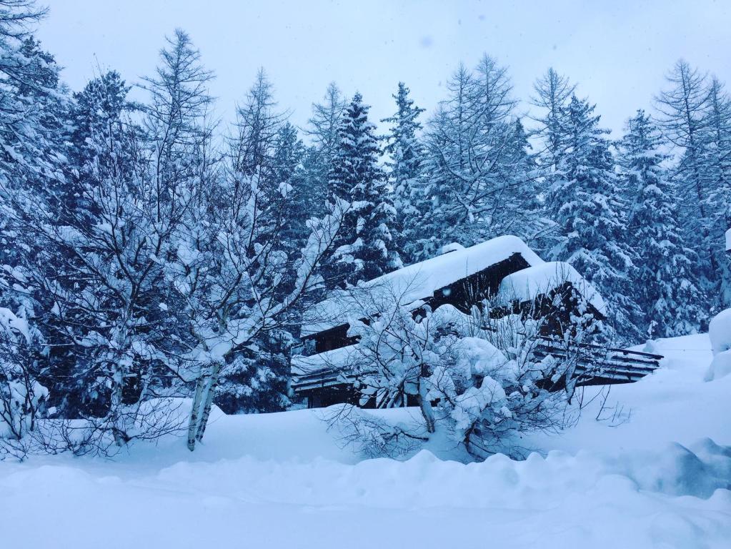 拉法爾里的住宿－CHALET en station de ski, avec vue, au calme，树前的雪覆盖的房子
