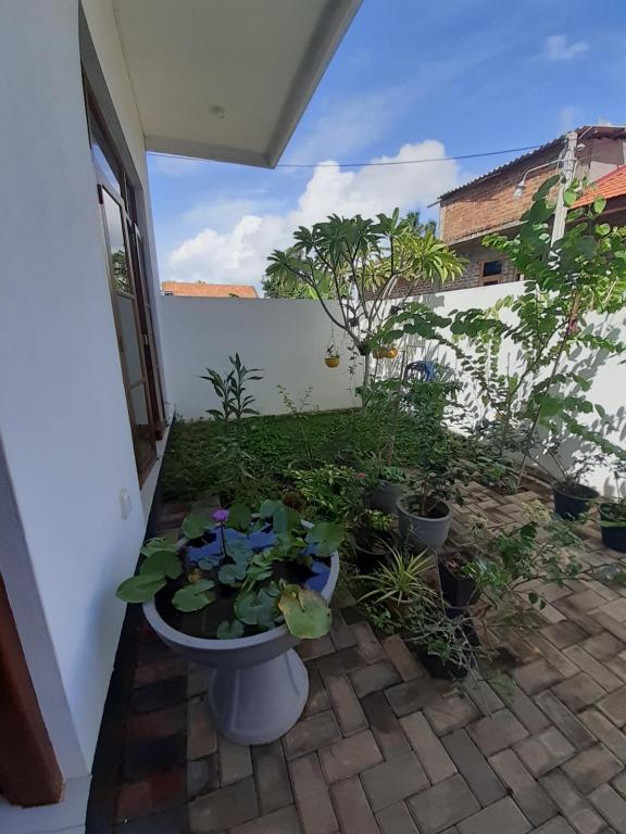 Zahrada ubytování Ever Green Villa
