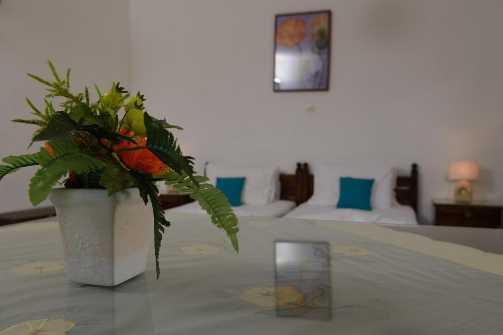Fotografie z fotogalerie ubytování Smaragda Hotel v destinaci Marathokampos