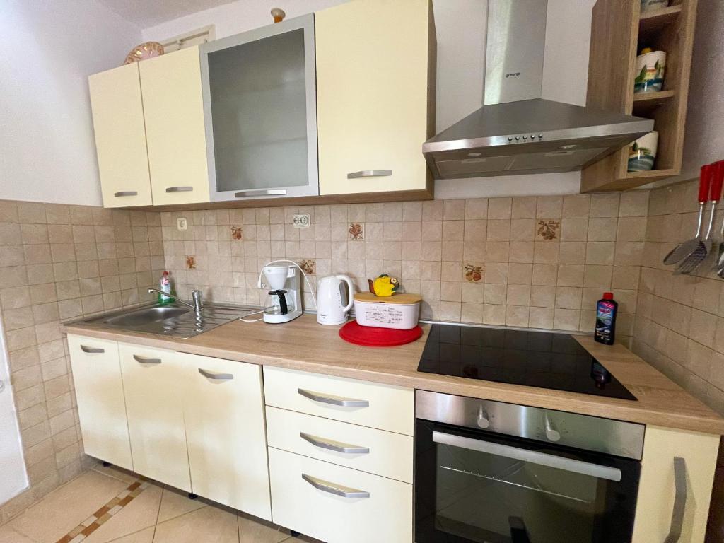 Kuchyň nebo kuchyňský kout v ubytování Apartmani Andrejko