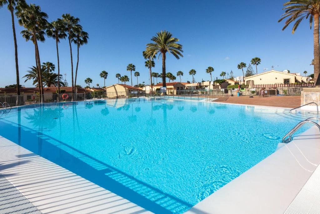 uma grande piscina azul com palmeiras em Bungalows Santa Fe esquina em Maspalomas