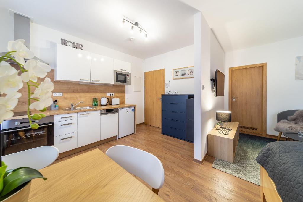 Kuchyň nebo kuchyňský kout v ubytování Aviatik apartments