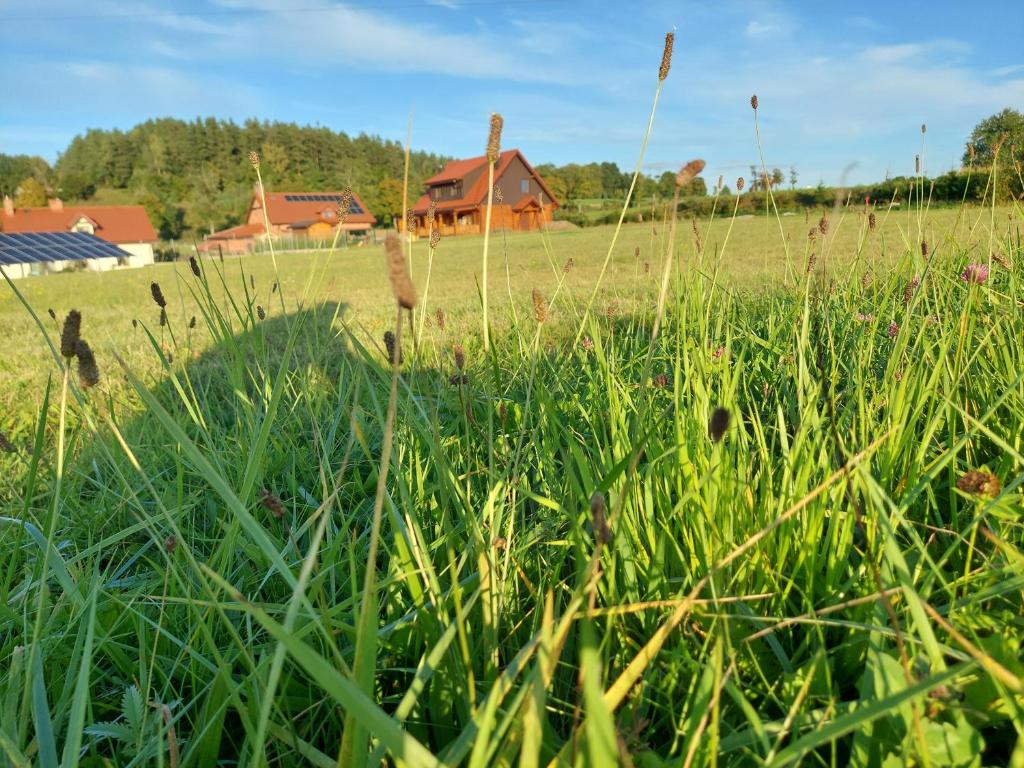 Příroda nedaleko chaty