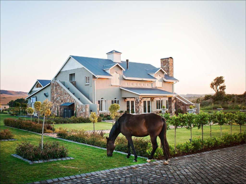 a horse grazing in the grass in front of a house at Dunkeld Country & Equestrian Estate in Dullstroom