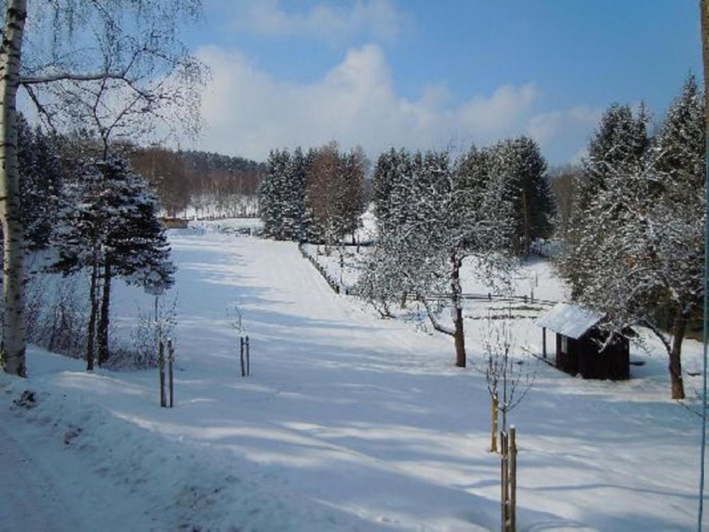 Ferienhaus Angel v zimě