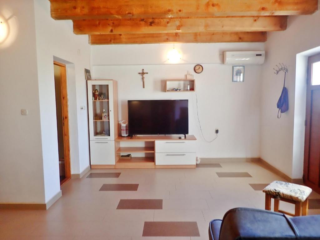 Televízia a/alebo spoločenská miestnosť v ubytovaní Holiday Home Milovci