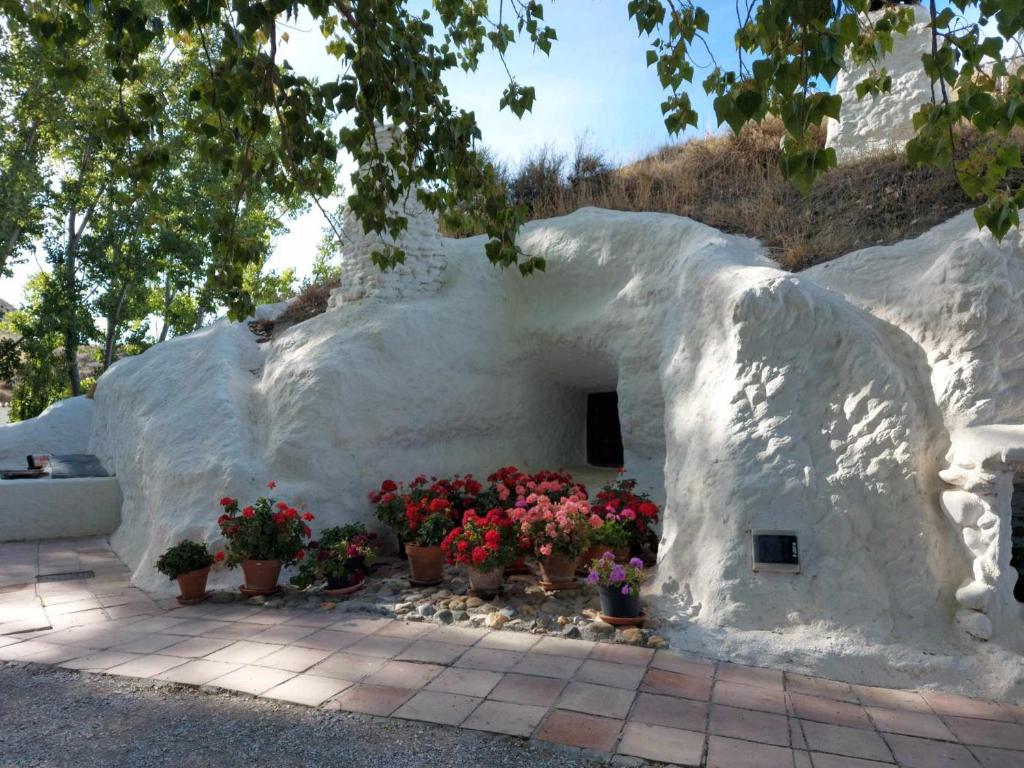 Fotografie z fotogalerie ubytování El Guindas, verdaderamente un pedacito de paraíso v destinaci Baza