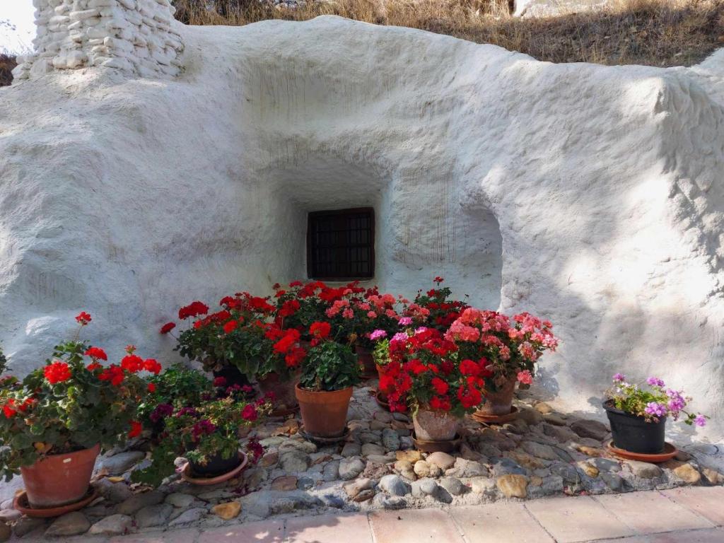Fotografie z fotogalerie ubytování El Guindas, verdaderamente un pedacito de paraíso v destinaci Baza