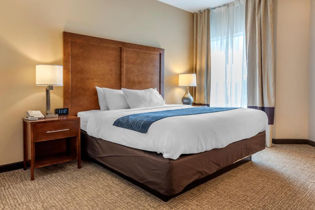 Comfort Inn Apalachin - Binghamton W Route 17 - Standard King Room - Non Smoking