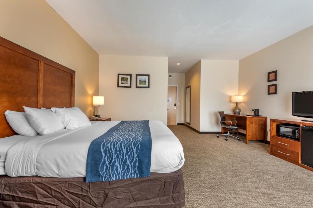 Comfort Inn Apalachin - Binghamton W Route 17 - King Suite - Non Smoking