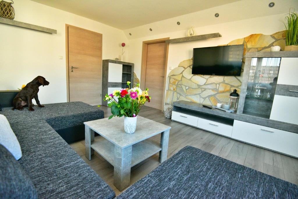 カッペル・グラーフェンハウゼンにあるFerienwohnung TaJoのリビングルーム(ソファに犬が座っている)