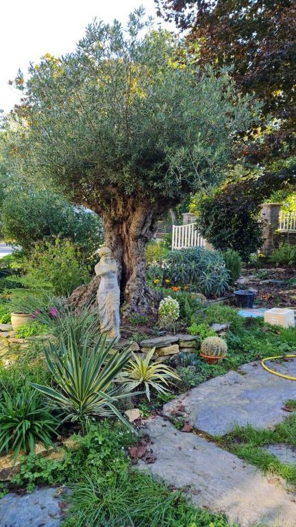 La Villa Saint Martin - 10