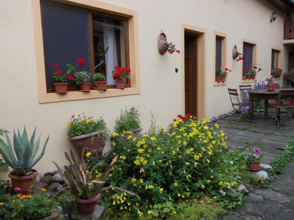einen Garten vor einem Haus mit Blumen in der Unterkunft Casa Lia in Sighişoara