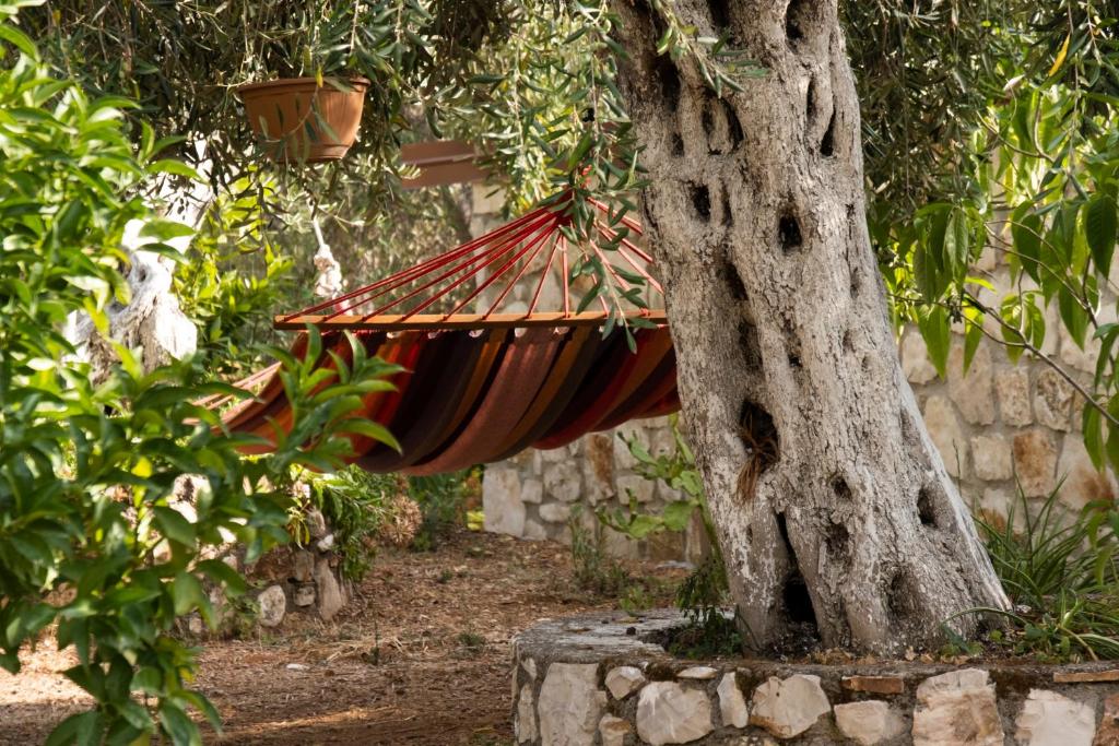 Giardino di Filoxenia - The Place of Experience